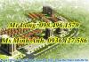 Dự án Tiền Phong-Mê Linh