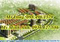 Dự án Tiền Phong-Mê Linh
